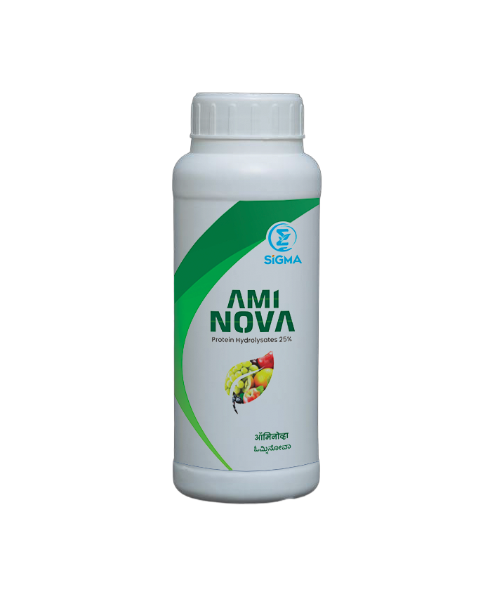 Ami Nova